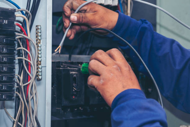 Best Local Electrician Companies  in Talluh, LA